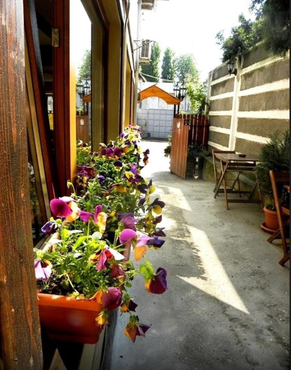 Affittacamere Casa Mica Gueshouse 3*
